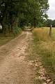allee vatange